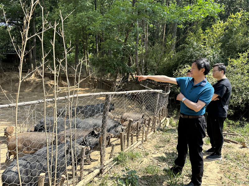 “追尋紅色足跡，擁抱生態(tài)夏意”-夏日?qǐng)F(tuán)建活動(dòng)9